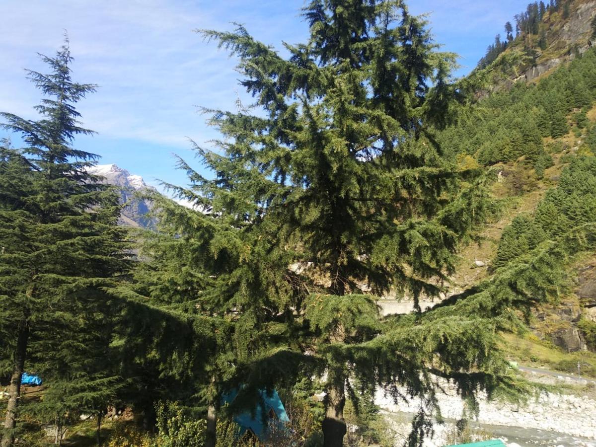 Nehru Kund Heights By Jitainn Manali  Exterior photo
